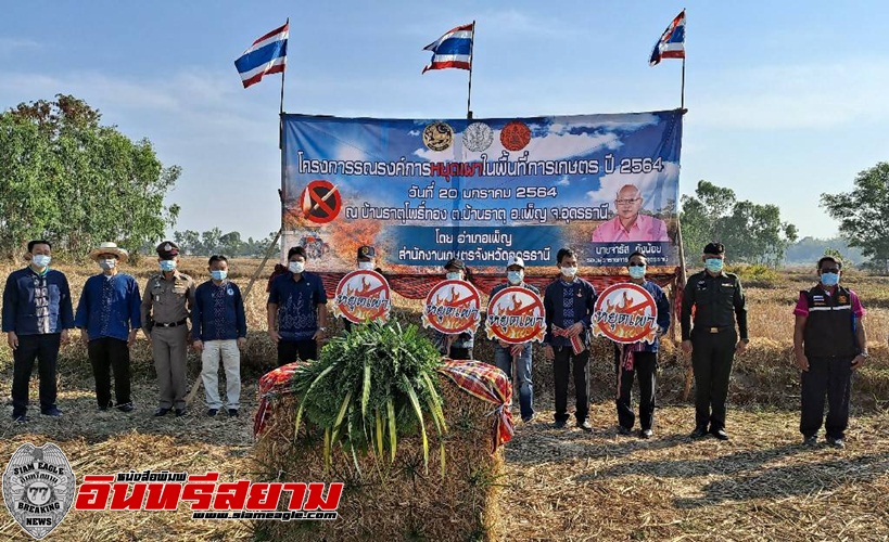 อุดรธานี – เกษตร รณรงค์ไถกลบตอซังข้าว ลดการเผาทำลายสร้างมลพิษ