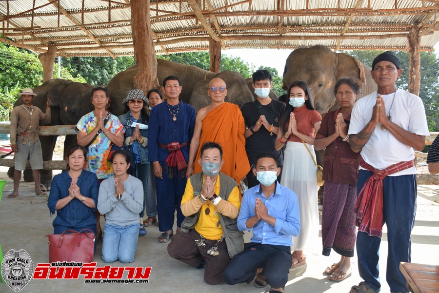 ศรีสะเกษ-นักท่องเที่ยวแห่ไปชมช้างแสนรู้