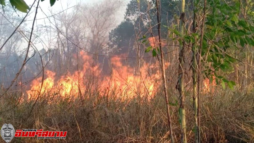 ปราจีนบุรี – ระวังภัย!จุดไฟลามททุ่งหวิดเผาบ้านเรือนประชาชน 10 หลัง