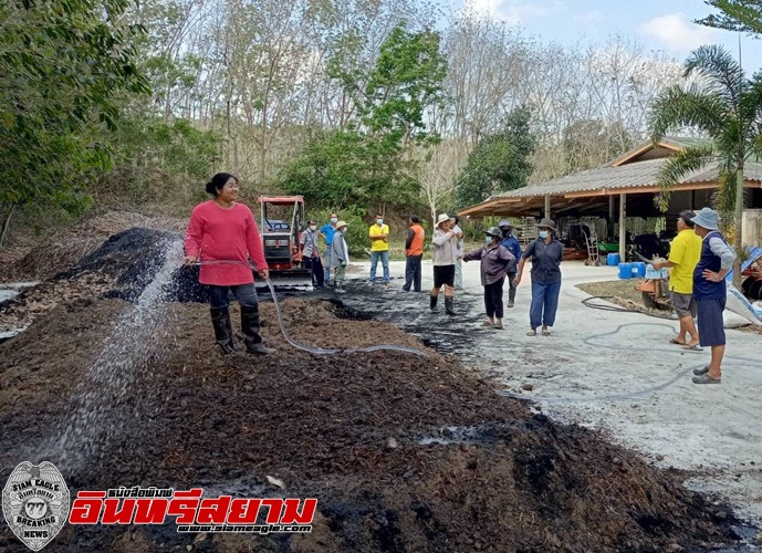 ประจวบคีรีขันธ์-ชาวบางสะพานปลื้มมะพร้าวอินทรีย์ส่งออกสหภาพยุโรป