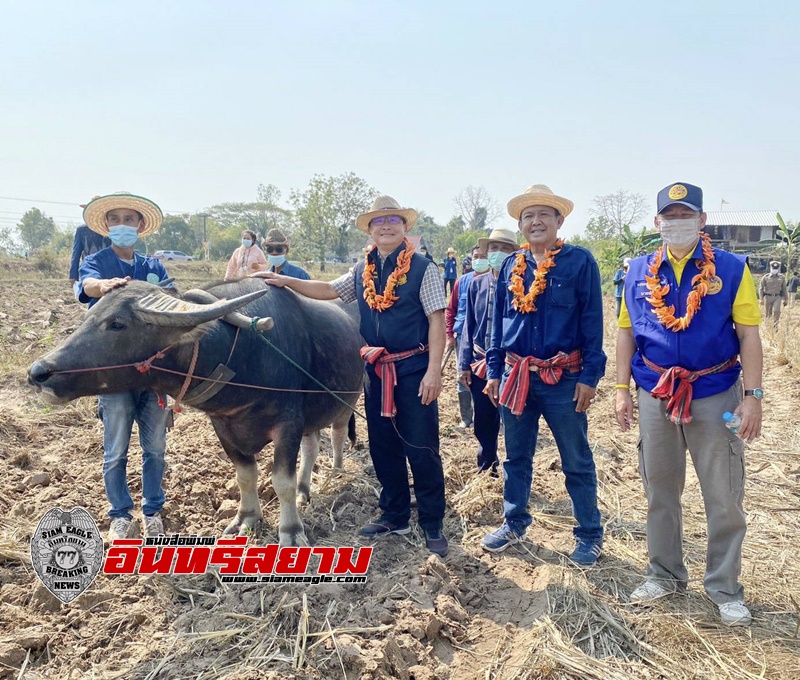 อุดรธานี-ลดมลพิษ ลดเผา นำร่องเกษตรกร ไถกลบตอซังข้าว