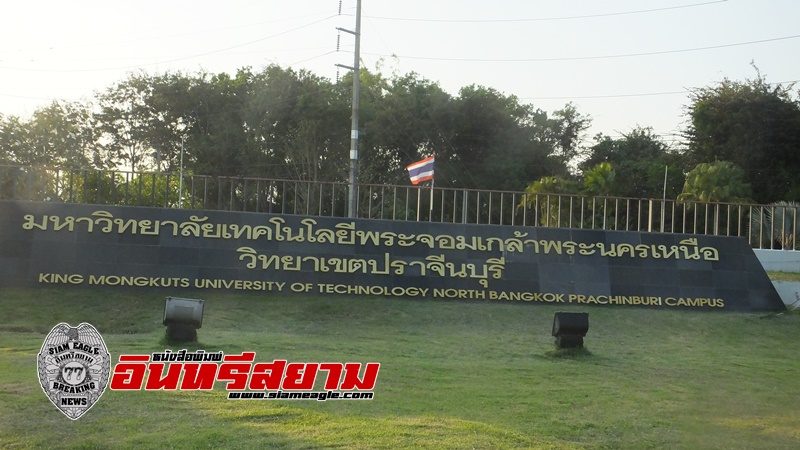 ปราจีนบุรี-ท่องเที่ยวยิ่งคึกคักวันหยุด – นทท.หอบลูกจูงหลานเซลฟี่ดอกเหลืองอินเดีย