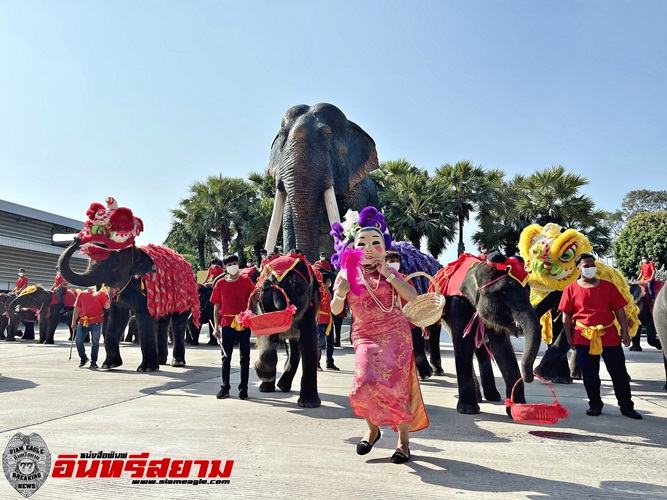 ชลบุรี-ช้าง เชิดสิงห์โต ต้อนรับตรุษจีน สวนนงนุชพัทยา