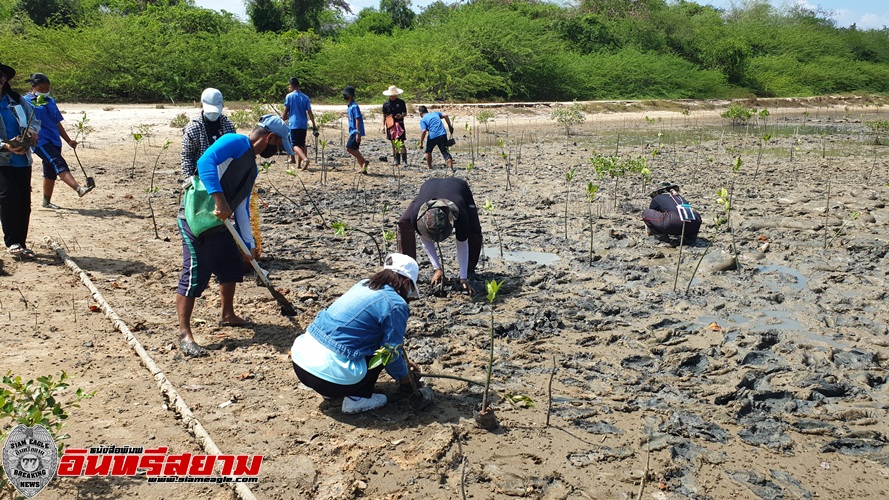 ประจวบคีรีขันธ์-กอ.รมน.ปลูกจิตสำนึกเยาวชนรักษ์ป่าชายเลน