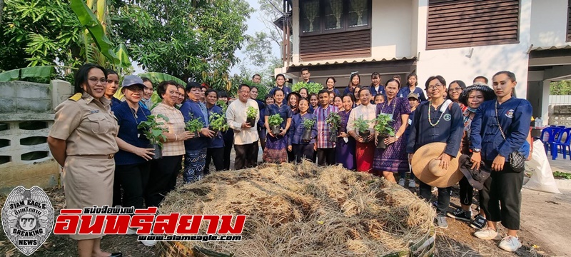 พช.ลพบุรี ปลูกผักสวนครัว สร้างความมั่นคงทางอาหาร”ผู้นำต้นแบบตัวอย่างที่เป็นจริง”