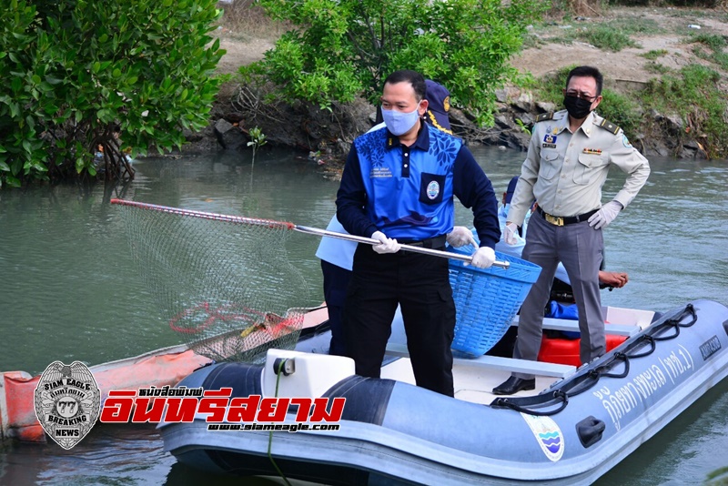 เพชรบุรี- ลุยทำความสะอาดทุ่นดักขยะ เก็บขยะตกค้าง หาดเจ้าสำราญ