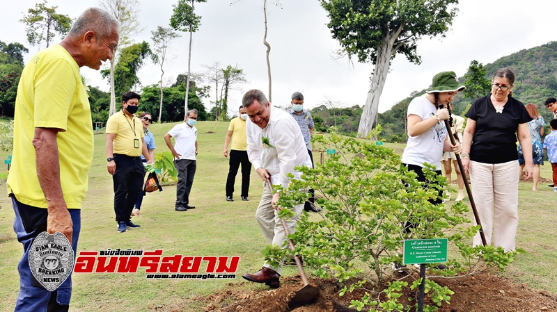 ชลบุรี-เอกอัครราชทูต ร่วมปลูกต้นไม้ประจำชาติ ชื่นชมสวนนงนุชพัทยาสวยงามมาก