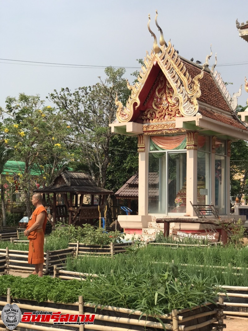 พช. หนองเรือ จ.ขอนแก่น น้อมนำตามหลัก บวร ขับเคลื่อนการพัฒนาชุมชน ปลูกผักสวนครัว