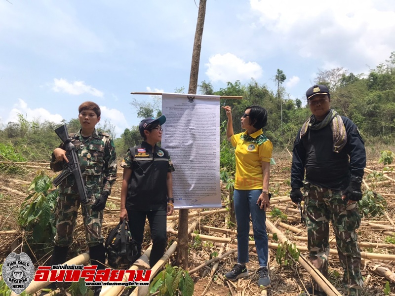 เพชรบุรี-2 หญิงเหล็กกรมอุทยานฯปักธงไทย”บางกลอยบน”