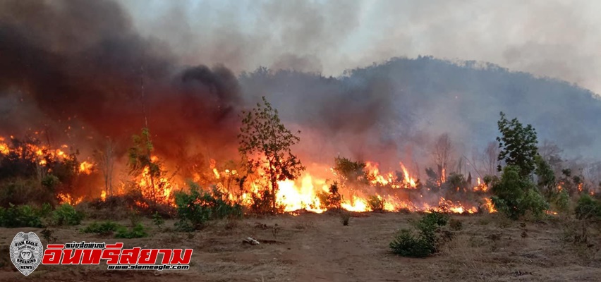 สุพรรณบุรี-ชาวบ้านหาของป่าเผาป่าชุมชนอู่ทองวอดกว่า500ไร่