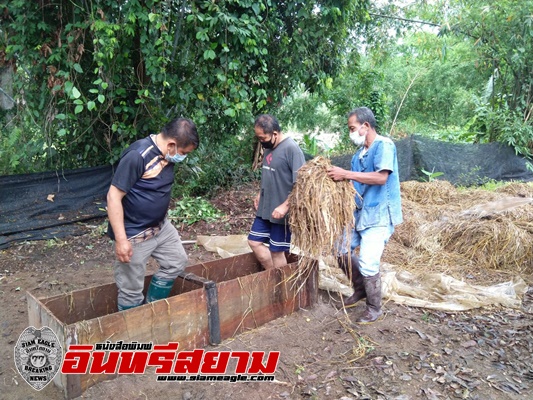 พช.เชียงดาว เดินหน้า “เอามื้อสามัคคี”ตามวิถีเศรษฐกิจพอเพียง