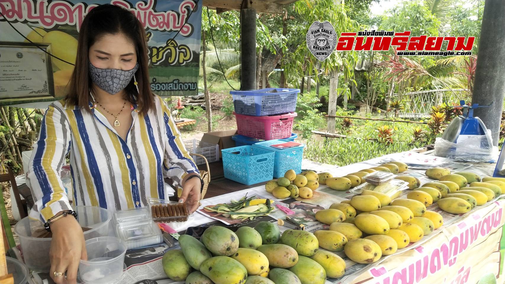 จันทบุรี-แม่ค้าปรับตัวสู้โควิด ขายมะม่วงอกร่องหน้าบ้านและโพสขายออนไลน์