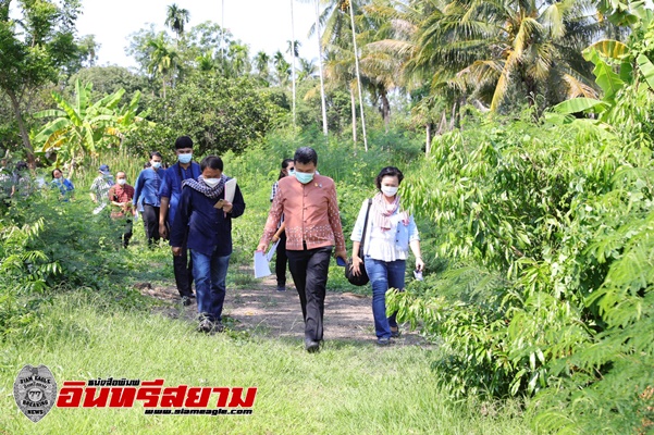 อธิบดี พช. นำทีม เยือนถิ่นแม่กลอง ลุยพื้นที่ต้นแบบ“โคก หนอง นา พช.”