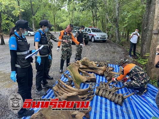 เพชรบุรี-พิสูจน์หลักฐานลงพื้นที่หาสาเหตุช้างป่าตายในอช.แก่งกระจาน