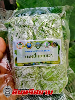 อยุธยา – กศน.ภาชี สรรค์สร้างผักตบชวาเป็นบะหมี่สด สร้างรายได้ให้ชุมชน ตั้งเป้าส่งออกญี่ปุ่น