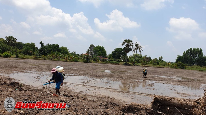 ปราจีนบุรี – ถือฤกษ์ดีวันพืชมงคล พบชาวนาทันสมัยใช้โดรนบินฉีดพ่นยากำจัดศัตรูพืช