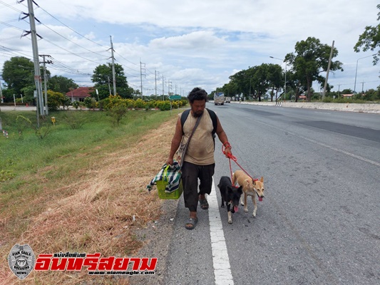 สิงห์บุรี-หนุ่มพิษณุโลกหอบหมา เดินเท้า สิงห์บุรี -พิษณุโลก