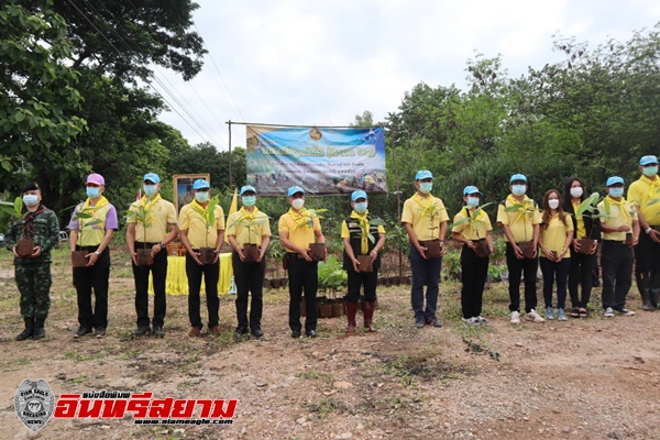 ตาก-นอภ.พบพระ  รณรงค์ปลูกต้นไม้  (Green Day) “รวมใจไทย ปลูกต้นไม้เพื่อแผ่นดิน”