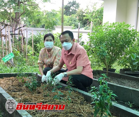 ต้นแบบผู้นำต้องทำก่อน พ่อเมืองตาก – นายกเหล่ากาชาด จับมือลุย ปลูกฟ้าทะลายโจร