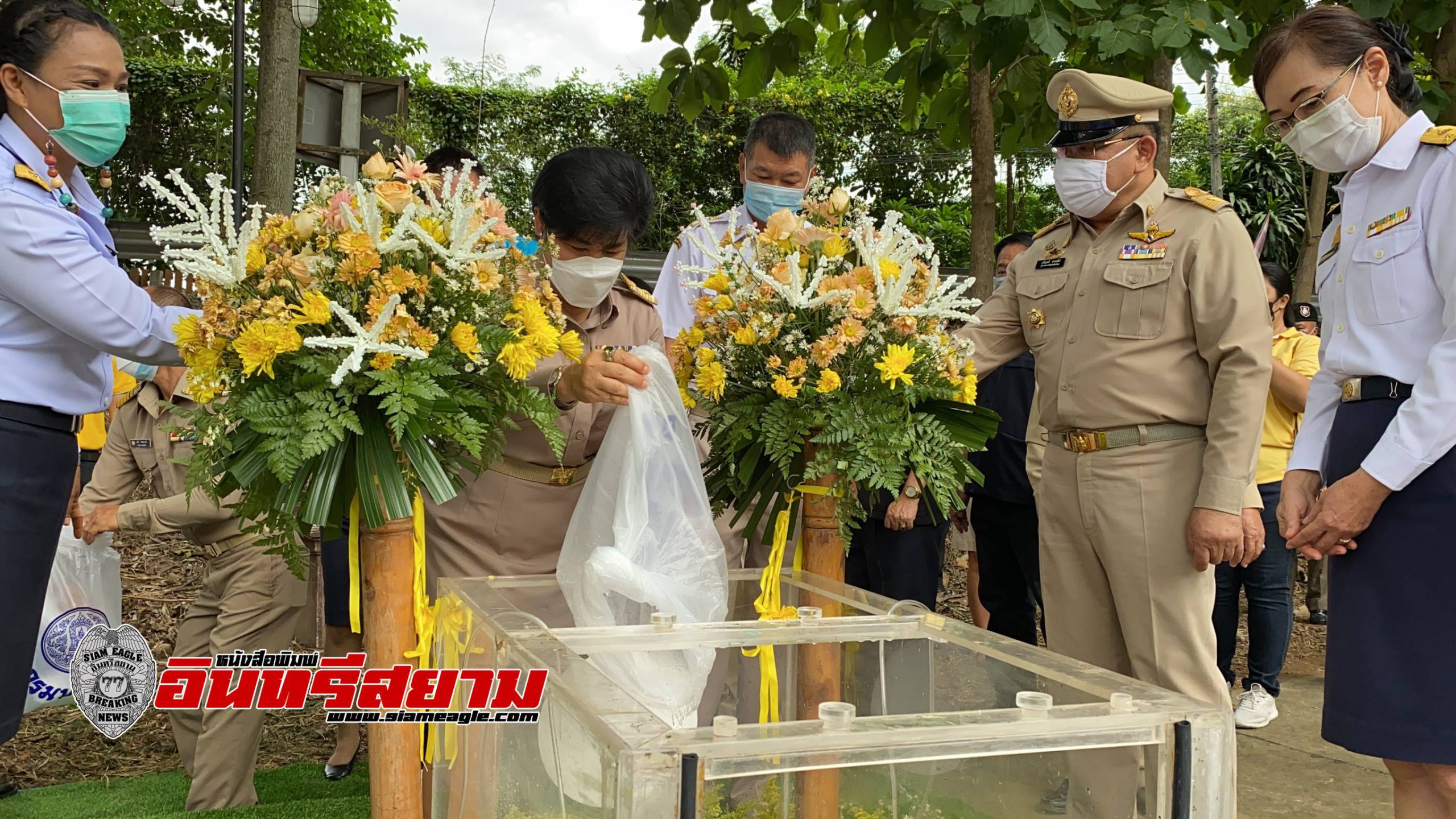 เชียงใหม่-ปล่อยพันธุ์สัตว์น้ำถวายเป็นพระราชกุศลเนื่องในวันเฉลิมพระชนมพรรษาฯ