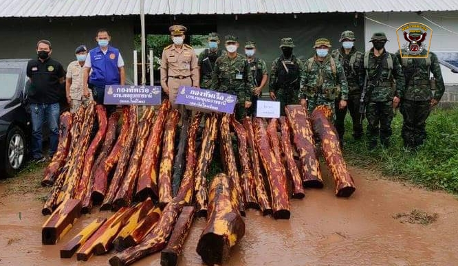 อุบลราชธานี-นรข.โขงเจียม สนธิกำลังจับผู้ต้องหาขนไม้พะยูงข้ามโขง