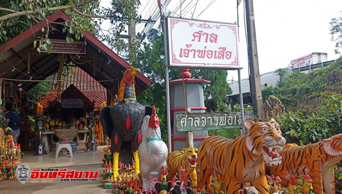 ปราจีนบุรี-พบสาวมาบนบาน เจ้าพ่อเสือ แล้วสมหวัง พร้อมๆยังได้เลขเด็ดกลับไป