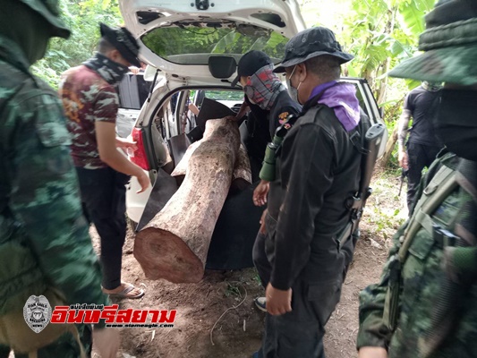 อุบลราชธานี-ทหารพราน 2302 ร่วมกับฝ่ายปกครอง ตรวจยึดไม้พะยูงริมฝั่งโขง