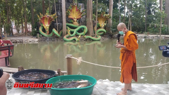 ราชบุรี – วัดหุบกระทิง จัดทำบุญปล่อยปลาหน้าเขียง ถวายเป็นพระราชกุศล