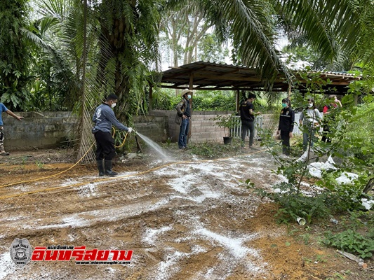 ชุมพร-สุกรตายไร้สาเหตุปศุสัตว์ให้งบทันที