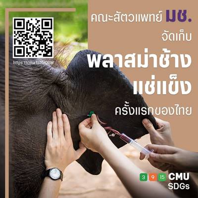 เชียงใหม่-สัตวแพทย์ มช. ขึ้นอันดับ 6 ของโลก