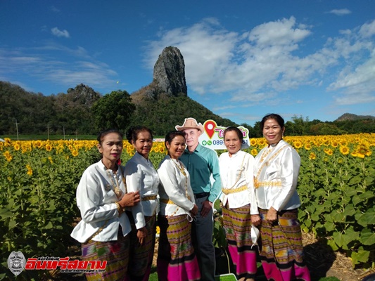 ลพบุรี-คึกคักนักท่องเที่ยวแห่ชมทานทุ่งตะวันบานก่อนเข้าสู่โหมดทำงานหลังหยุดยาว