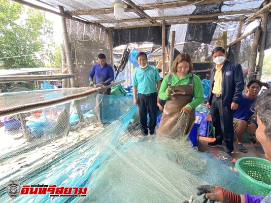    ‘อลงกรณ์’ หนุนประมงพื้นบ้านเพชรบุรีพัฒนาท่าเทียบเรือ