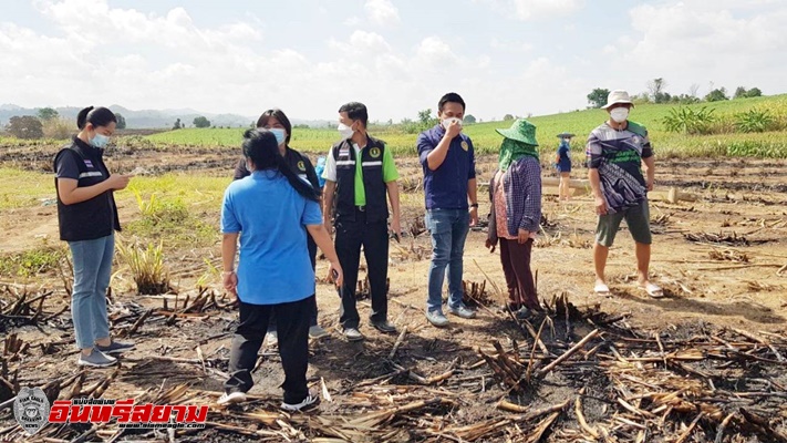 ตาก-ร่วมออกตรวจสอบพื้นที่ปลูกไร่อ้อย หลังได้รับแจ้งมีการลักลอบจุดไฟเผาไร่อ้อย