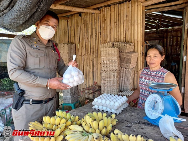 ตาก-ชีวิตต้องสู้ ป้าหญิงแกร่ง วัย53ปี เลี้ยงเป็ด ขายไข่ สร้างรายใด้ ดูแลครอบครัว สามีป่วยติดเตียง