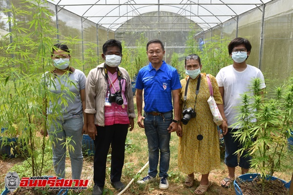 ปราจีนบุรี – ปลดล็อคกัญชา! สส.ปราจีนฯ ดร.สฤษดิ์ เดินหน้า “ปลูกกัญชาเสรี “