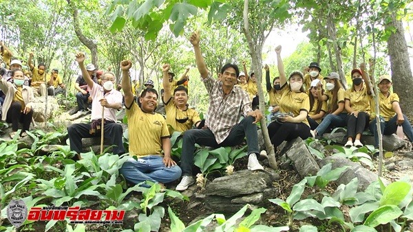 สุพรรณบุรี-นักท่องเที่ยวแห่ชมดอกกระเจียวสายพันธุ์ใหม่ที่อู่ทอง