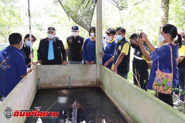 กอ.รมน.ชื่นชม “บุราณบ้านสวน”บางสะพาน โครงการเศรษฐกิจพอเพียงต้นแบบ