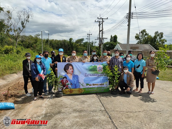 ประจวบคีรีขันธ์-ปลูกต้นไม้ทองอุไร 100 ต้นเนื่องใน”วันแม่แห่งชาติ”