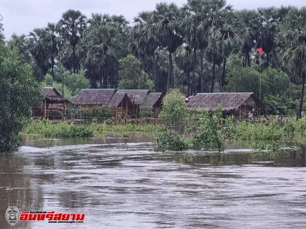 ปราจีนบุรี – พิษมู่หลาน น้ำป่าเขาใหญ่ไหลบ่าเข้าท่วมต้องกางเต้นท์นอนริมถนน หมู่บ้านถูกตัดขาด รีสอร์มกลางดงตาลจมใต้น้ำ