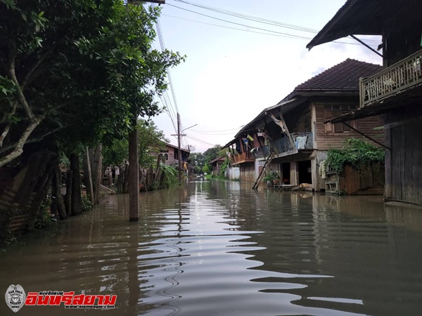 ปราจีนบุรี-พิษโนรูและหลังพร่องน้ำเหนือเขื่อนห้วยสโมงน้ำแม่น้ำปราจีนบุรีเอ่อท่วมแล้ว3อำเภอจุดแรก