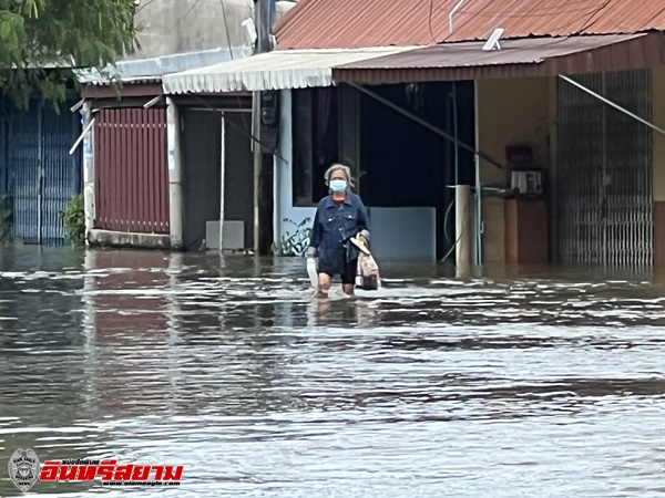 ศรีสะเกษ-ชุมชนศิริทรัพย์ทวีโชคจมใต้น้ำแล้วหนุ่มหอบต้นกัญชาหนีน้ำท่วม