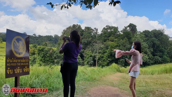 ปราจีนบุรี-เขาใหญ่ที่เที่ยวใกล้กรุงเทพฯที่สุดยังไม่หนาว