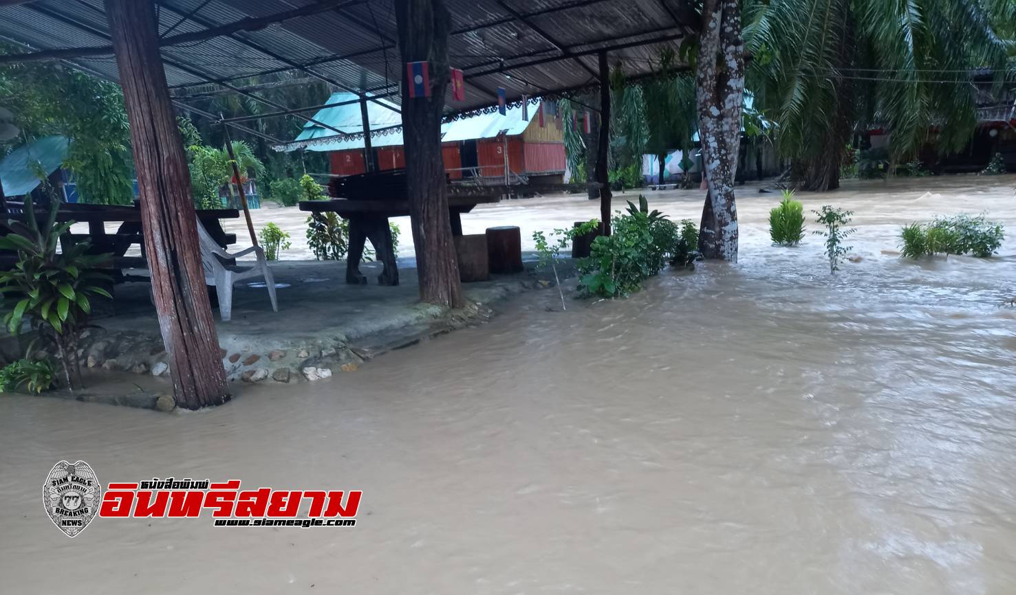 สตูล-ฝนตกหนักติดต่อกันหลายวันน้ำท่วมแล้ว 2 อำเภอ อ.มะนัง เร่งอพยพคนหลังน้ำป่าถล่ม