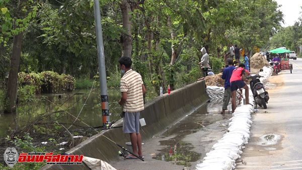 ปทุมธานี-สถานการณ์น้ำในแม่น้ำเจ้าพระยายังขึ้นลงตามระดับน้ำทะเลหนุนชาวช่วยเสริมกระสอบทราย