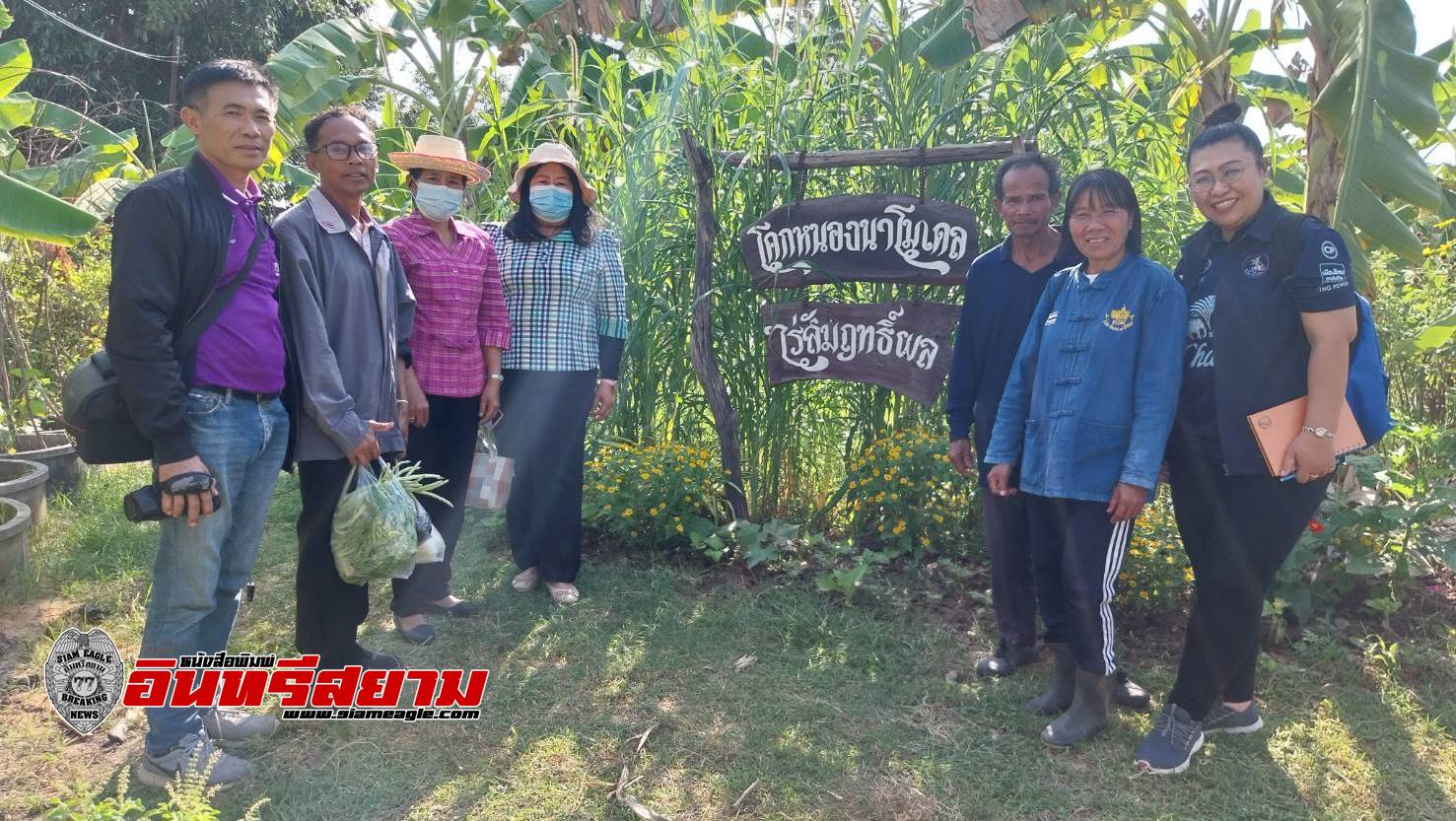 บุรีรัมย์-ไปชม..! ไร่สัมฤทธิ์ผล จากพนักงานบริษัทฯ ผันตัวสู่โคกหนองนาสีเขียว ตามแนวพระราชดำริ