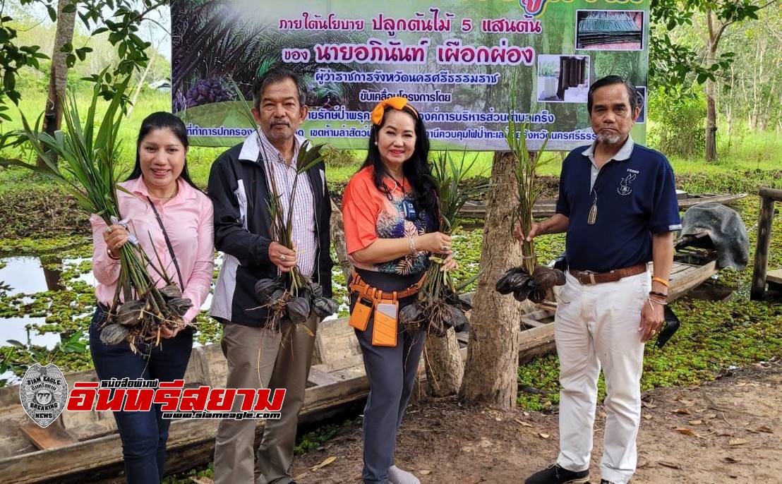 นครศรีธรรมราช-สื่ออาวุโส จับมือภาคีเครือข่ายคนรักษ์ป่าพรุควนเคร็ง ปลูกจาก 4500 ต้น เพื่อฟื้นฟูระบบนิเวศน์