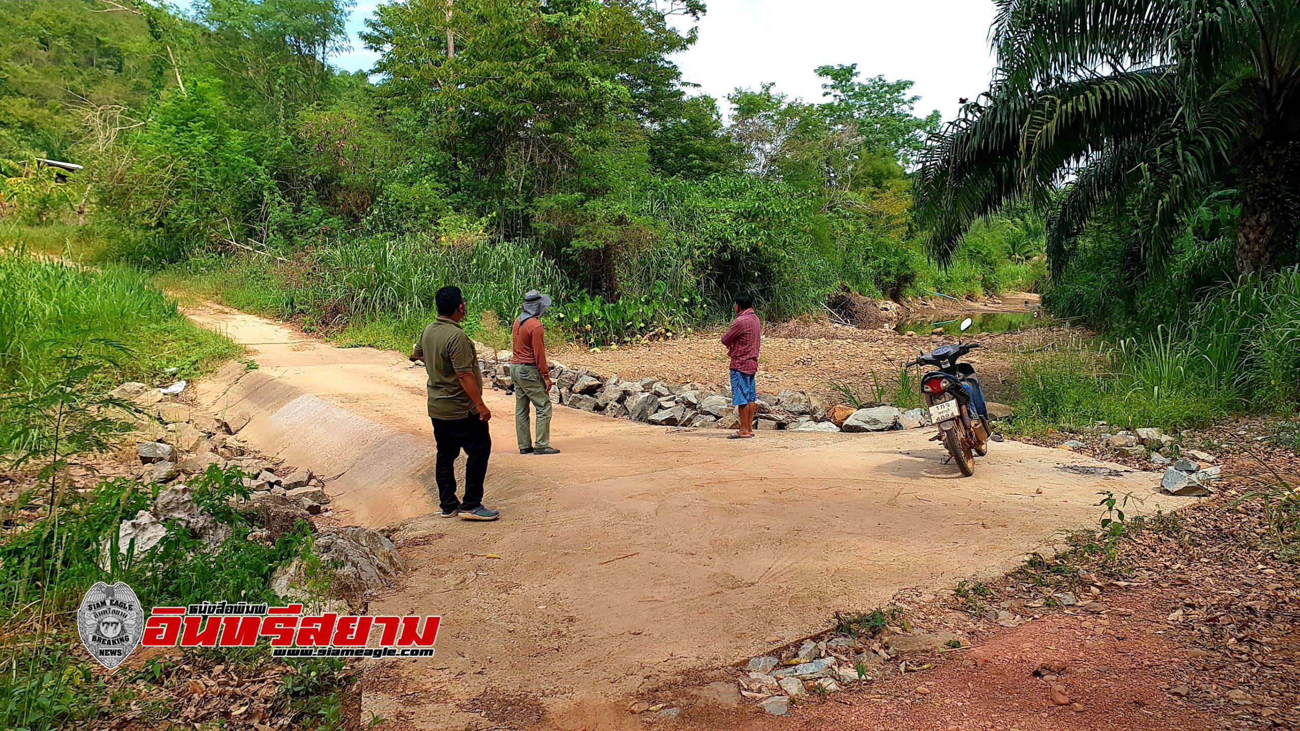 เพชรบุรี-ชาวบ้านและชาวสวนทุเรียนเมืองเพชรเจอภัยแล้งหนัก ส่งผลทุเรียนยืนต้นตายนับพันต้น