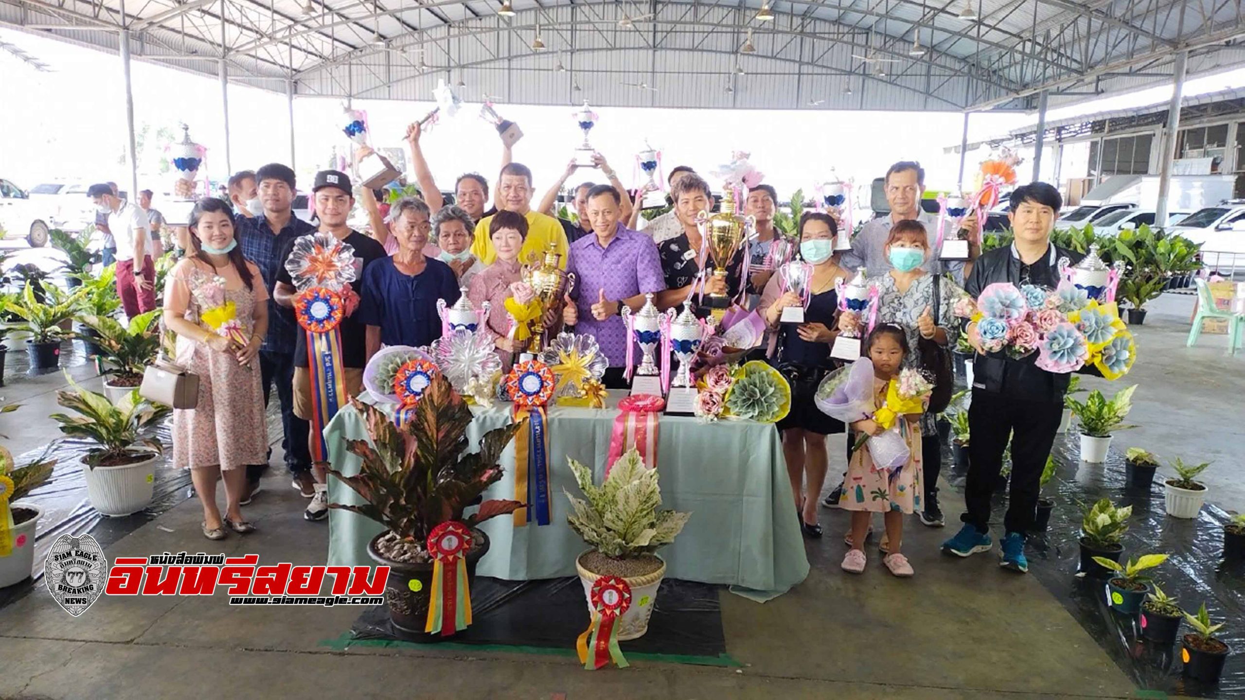 สุพรรณบุรี-ประกวดพันธุ์ไม้โชคเก้าชั้นงานรวมพลคนรักโชคเก้าชั้นคึกคัก