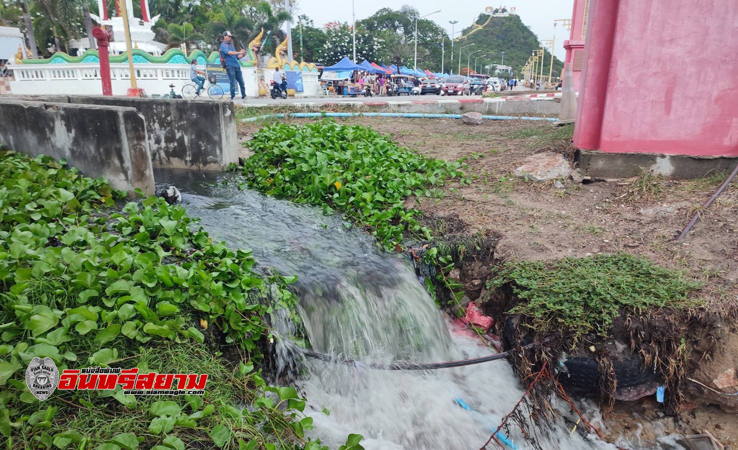 ประจวบคีรีขันธ์-ฝนตก 20 นาที น้ำเสียจากชุมชนทะลักลงอ่าวประจวบฯ