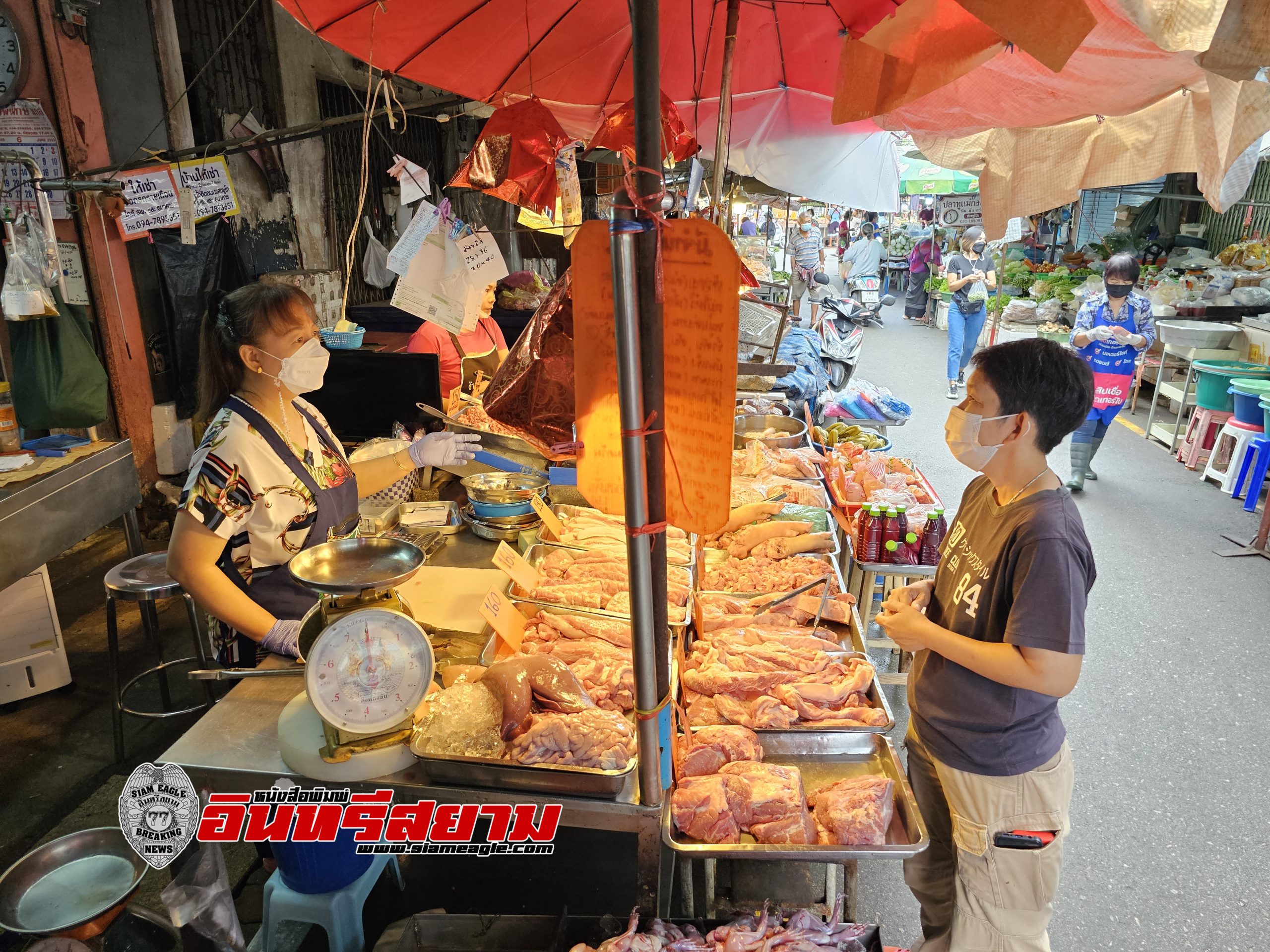 ราชบุรี-ร้านเขียงหมูโอดยอดขายลดหลังหมูเถื่อนทะลักขายในออนไลน์